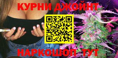дмт Пенза