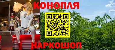 дмт Пенза