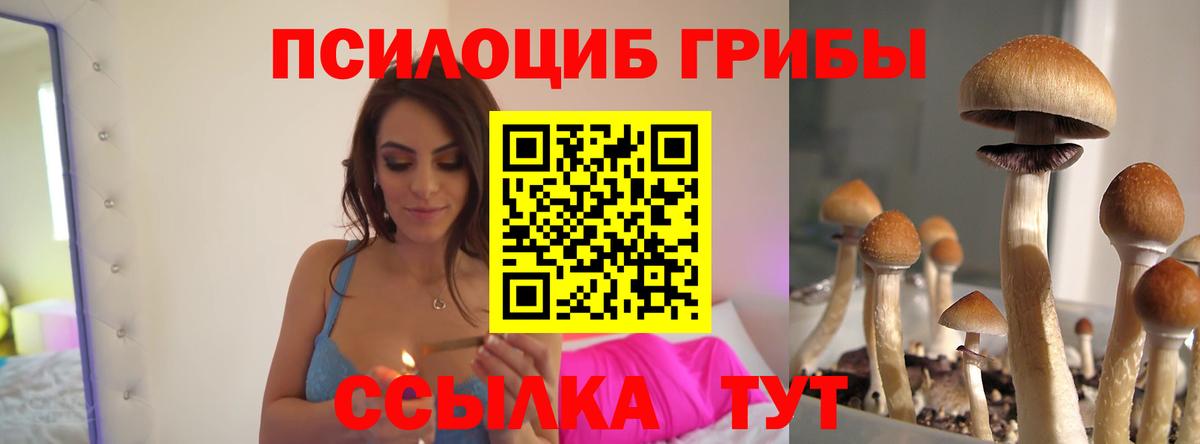 Севастополь  Псилоцибиновые грибы MAGIC MUSHROOMS  купить   Вход с VPN 